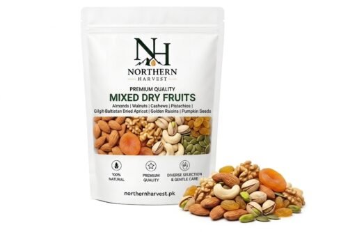 Premium Mixed Dry Fruits | Northern Harvest Pakistan